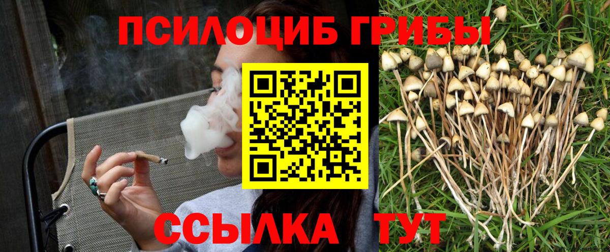 Алатырь  Псилоцибиновые грибы Magic Shrooms  как найти закладки  Вход с VPN 