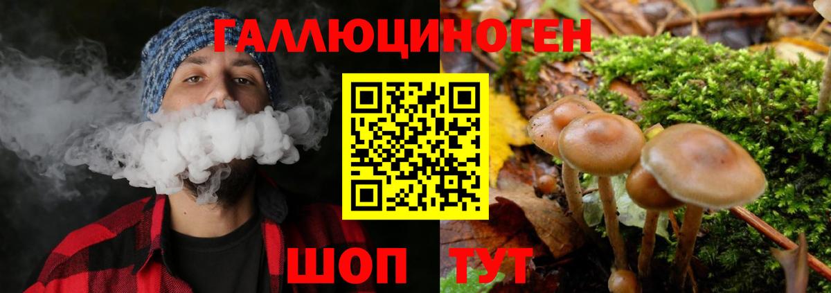 Галлюциногенные грибы мицелий Алатырь